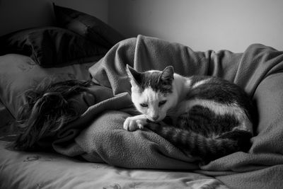 Cat sleeping on bed at home