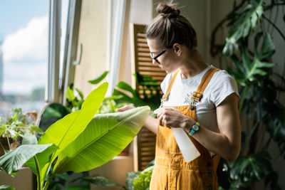 Woman gardener in orange overalls spraying banana palm houseplant, moisturizes leaves. defocused.
