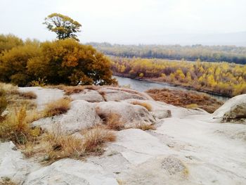 Scenic view of river amidst trees against sky