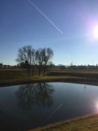 Reflection of trees in lake