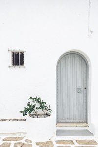 Mediterranean house entrance with a wooden door and a plant and stone tiles in the foreground