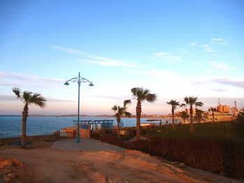 Palm trees on beach against blue sky