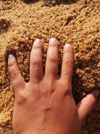 Close-up of human hand on sand