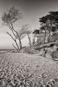 Scenic view of sea against sky during winter