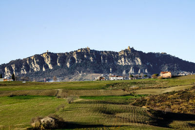 Scenic view of field against clear sky