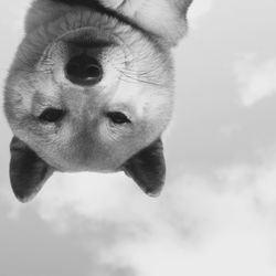 Close-up of man against sky