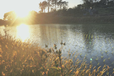 Scenic view of lake against sky during sunset