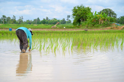 Man working on agricultural field