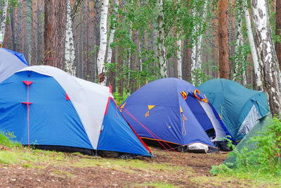 Tent on field by trees in forest