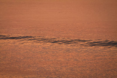 Full frame shot of land during sunset