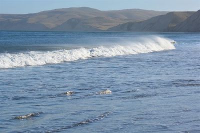 View of ducks swimming in sea