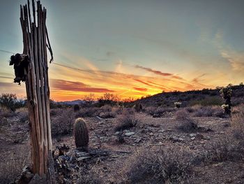 Scenic view of field against sky during sunset