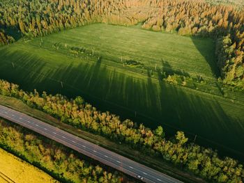Scenic view of agricultural field