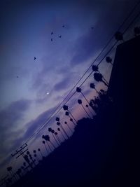 Low angle view of birds flying in sky