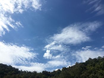 Low angle view of trees against blue sky