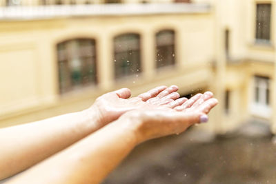 Women's hands in the rain, raindrops fall into their hands, catch.