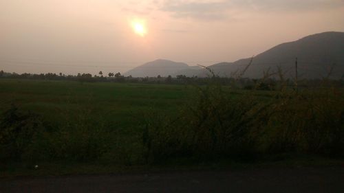 Scenic view of rice field against sky during sunset