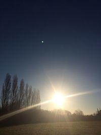 Sun shining through trees on landscape