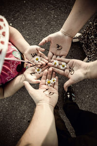 High angle view of hands holding flower