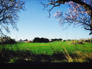 Scenic view of grassy field against cloudy sky