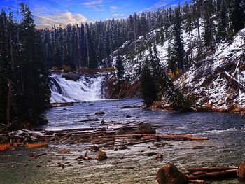 Scenic view of waterfall in forest during winter