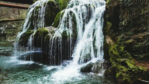 Scenic view of waterfall in forest