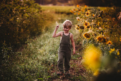 Young male child walking in a sunflower field smiling