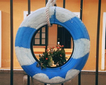 Close-up of flower pot hanging from window