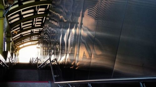 Reflection of trees on glass window