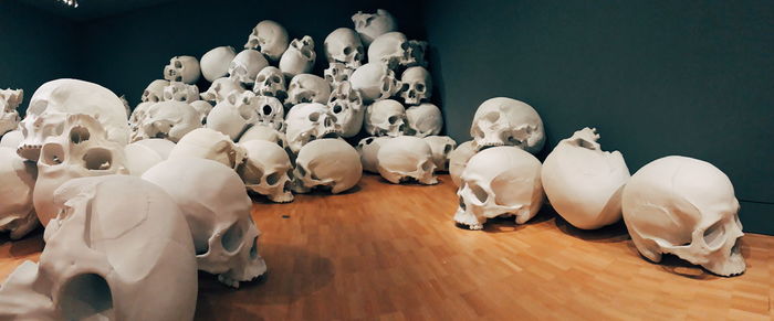 High angle view of white flowers on table