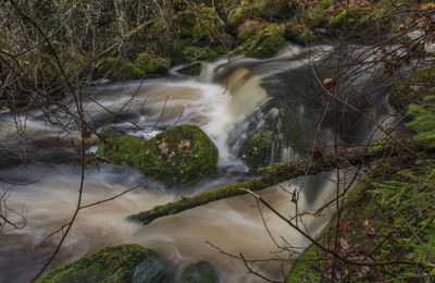 Stream flowing through rocks in forest