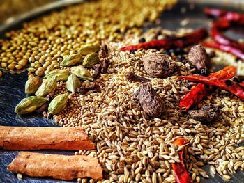 Close-up of dry leaf on plant