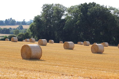 Hay bales on field against sky