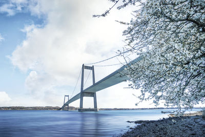 Bridge over river against sky