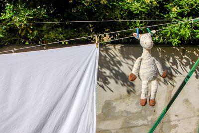 Stuffed toy hanging on rope at yard