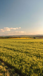 Scenic view of field against sky during sunset