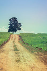 Dirt road passing through grassy field