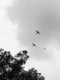 Low angle view of airplane flying in sky