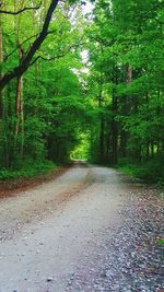 Road passing through forest