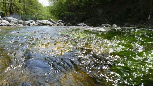 Surface level of water flowing through rocks in forest