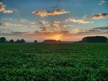 Scenic view of grassy field against sky at sunset