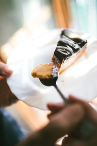 Cropped hand of person holding chocolate cake in plate