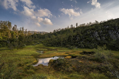 Scenic view of lake against sky