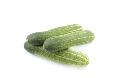 High angle view of leaf against white background