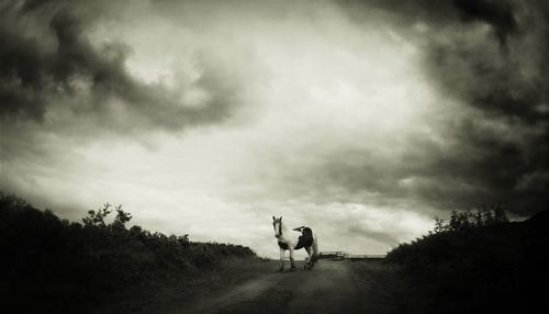 Silhouette of woman against cloudy sky