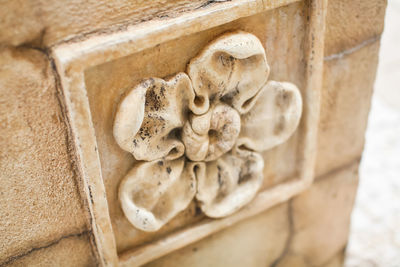 Close-up of statue against old building