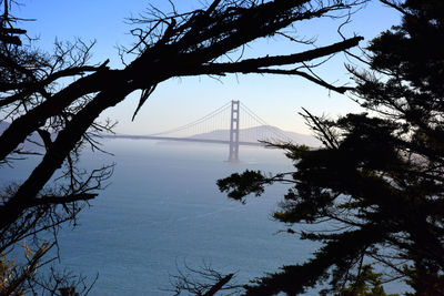 Silhouette of suspension bridge