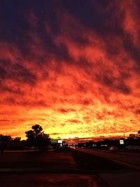 Silhouette trees against dramatic sky during sunset