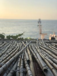 Close-up of bamboos on roof against sea