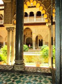 Architectural columns of building